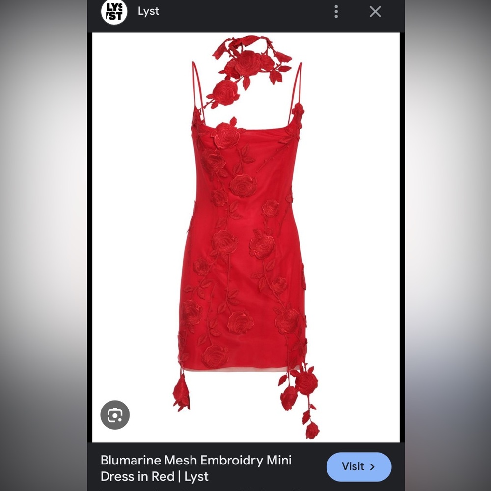 ISO - BLUMARINE Mesh Embroidry Mini Dress (Red)